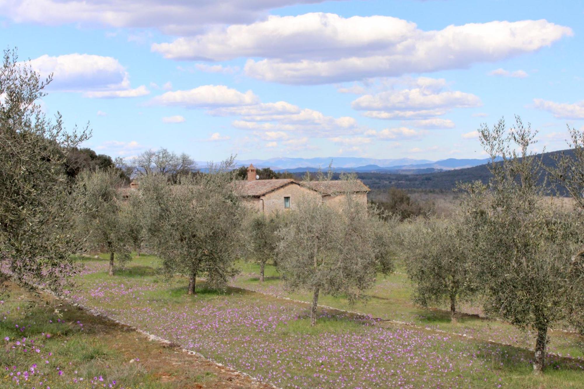 Agriturismo Il Caggio سوفيتشيلي المظهر الخارجي الصورة